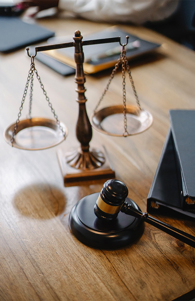Immigration Legal Services